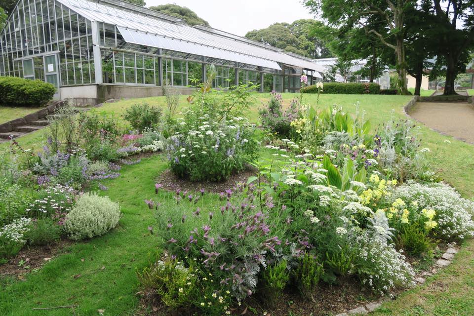 花畑園芸公園 オフィシャルサイト 福岡市南区 花畑園芸公園の宿根草花壇