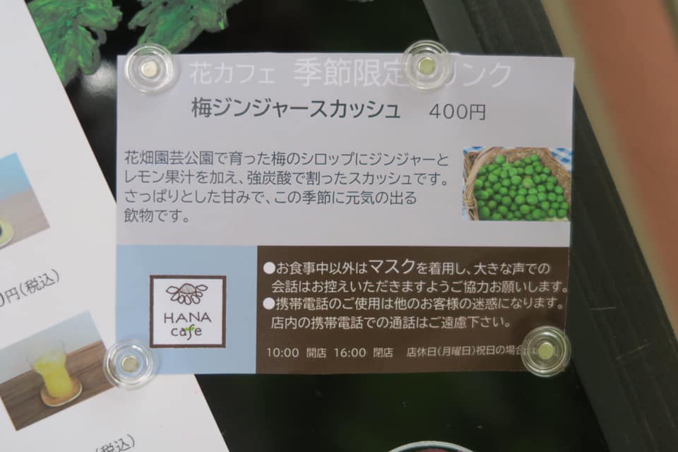 花畑園芸公園 オフィシャルサイト 福岡市南区 福岡市にある花畑園芸公園の公式サイトです Page 19